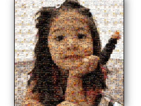 Photo Mosaic Canvas Print Online now